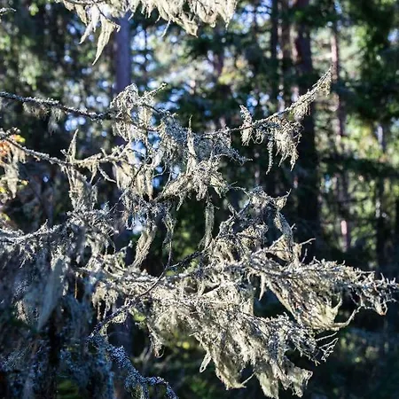 Cafe Alppila Πάρκο διακοπών *