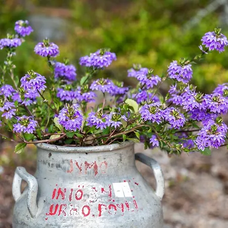 Cafe Alppila Πάρκο διακοπών Inio